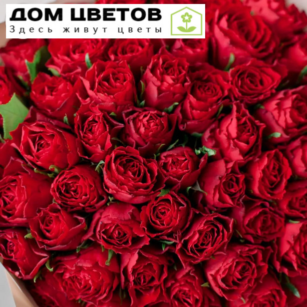 Букет из 51 красной розы 40 см (Кения)