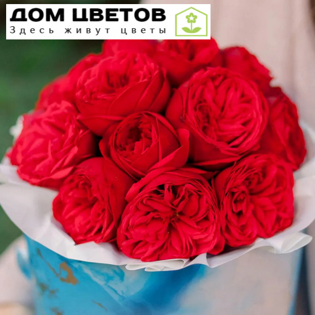 Букет в голубой шляпной коробке Amour Mini из 19 красных одноголовых пионовидных роз Red Piano