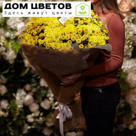 15 кустовых хризантем 100 см