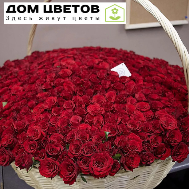 Композиция из 501 красной розы Premium 40 см (Кения) в корзине