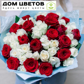 Букет из 51 красной и белой розы 35 см (Россия)