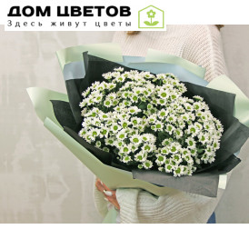 Букет из 15 белых кустовых хризантем Сантини в стильной упаковке
