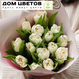 Букет из 15 белых пионовидных тюльпанов