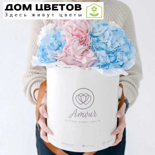 Букет в белой шляпной коробке Amour из 7 гортензий микс