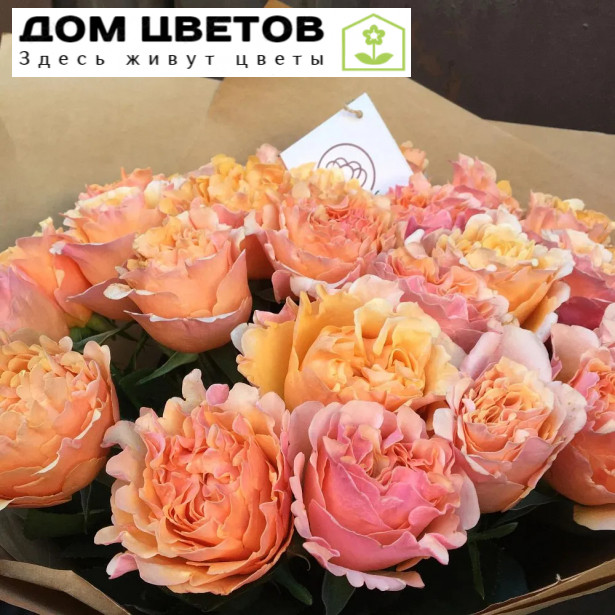 25 персиковых пионовидных роз 40 см Mayra's Peach