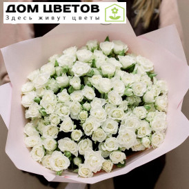 Букет из 25 белых кустовых роз 40 см (Кения)