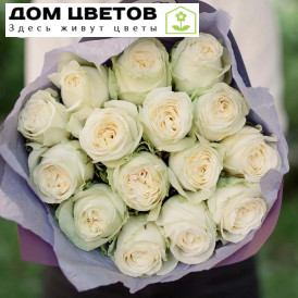 Букет из 15 белых пионовидных роз Titanium