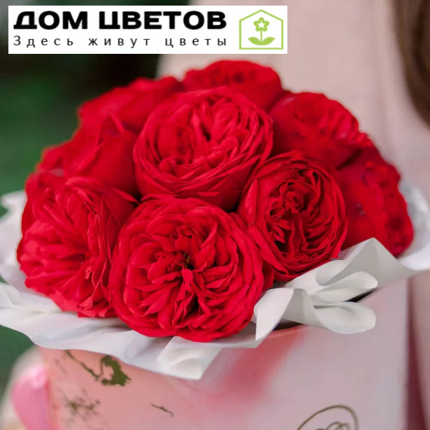 Букет в розовой шляпной коробке Amour Mini из 19 красных одноголовых пионовидных роз Red Piano