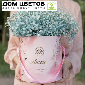 Букет в розовой шляпной коробке Amour Mini из 9 голубых гипсофил