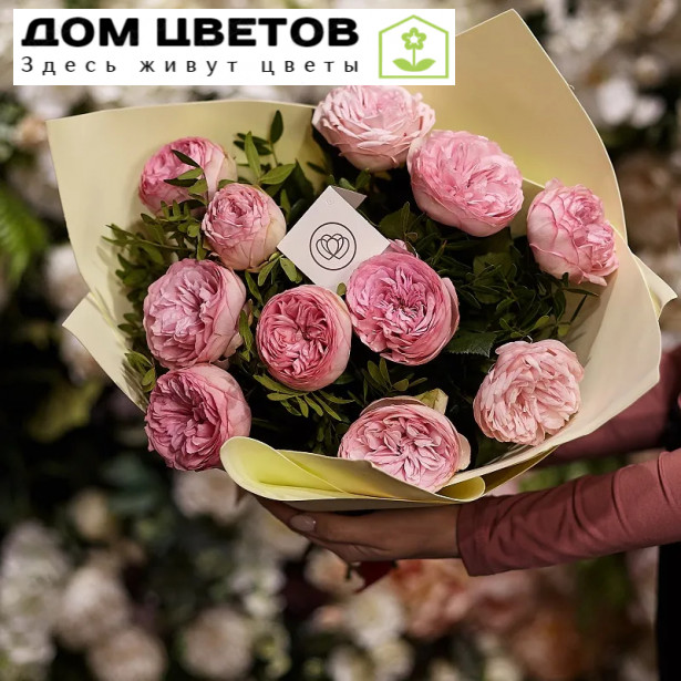 11 пионовидных роз Bridal Piano 50 см с зеленью