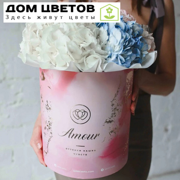 Букет в розовой шляпной коробке Amour из 7 гортензий микс