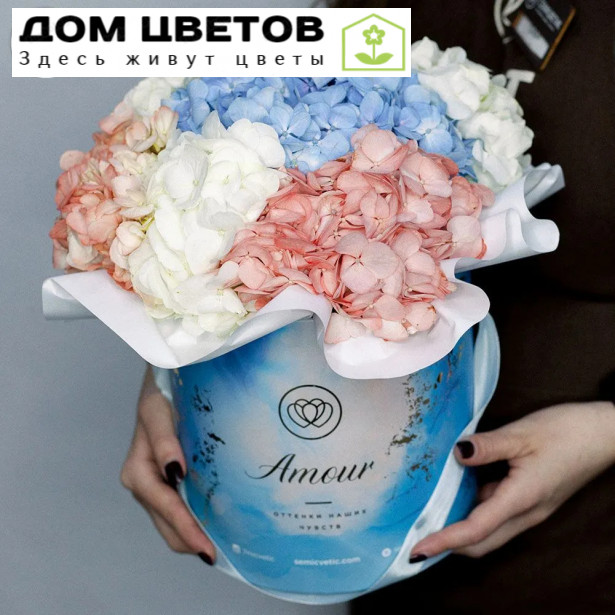 Букет в голубой шляпной коробке Amour Mini из 5 гортензий микс