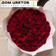 Букет из 51 красной розы 30 см (Кения)