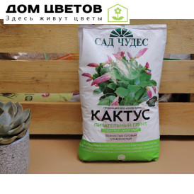 Кактус Сад Чудес 2,5л