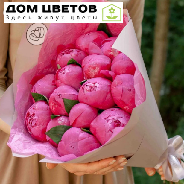 Букет из 15 ярко-розовых пионов Premium