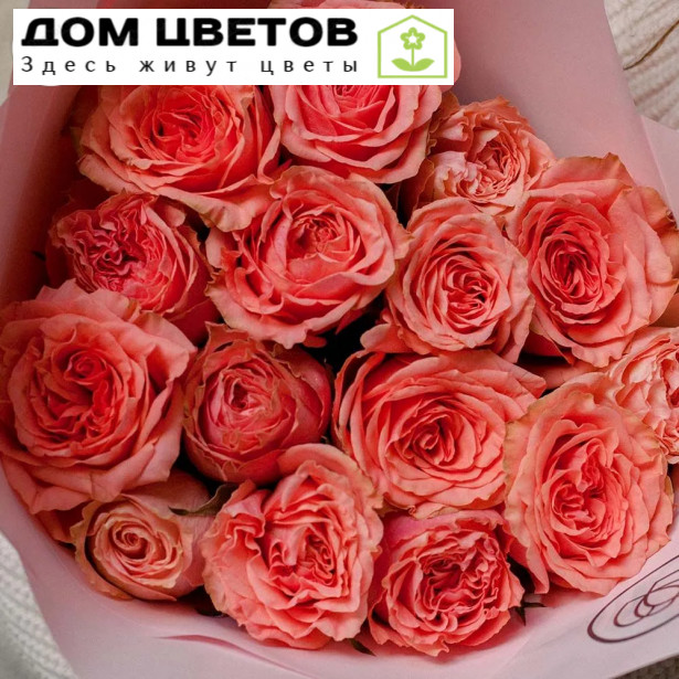 Букет из 15 пионовидных роз Wild Love