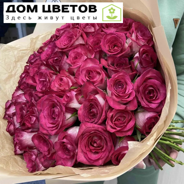 Букет из 51 розовой розы биколор 40 см (Кения)