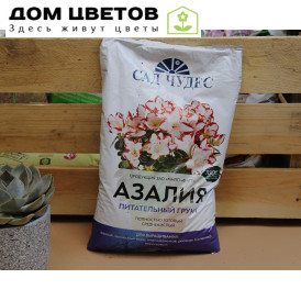 Азалия Сад Чудес 2,5л