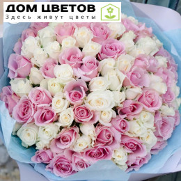 Букет из 101 белой и розовой розы 35-40 см (Россия)