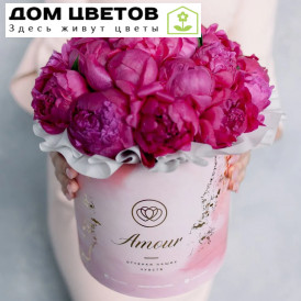 Букет в розовой шляпной коробке Amour Mini из 21 ярко-розового пиона Standart Plus