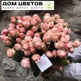 25 кустовых пионовидных роз Bombastik 50 см