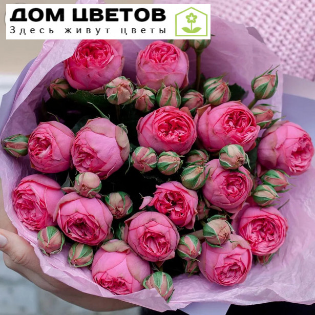 15 пионовидных розовых роз Pink Piano