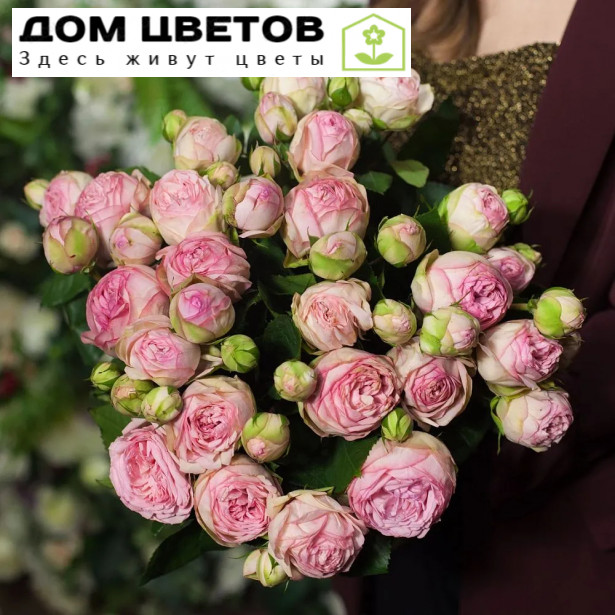 25 пионовидных роз Bridal Piano 50 см