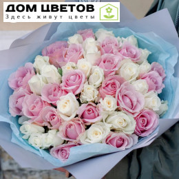 Букет из 51 розовой и белой розы 35 см (Россия)