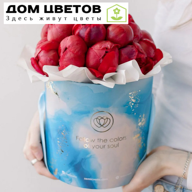 Букет в голубой шляпной коробке Amour Mini из 21 бордового пиона Standart Plus