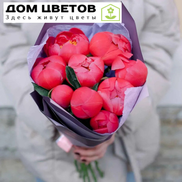 Букет из 9 коралловых пионов Premium