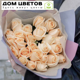 Букет из 25 кремовых роз 50 см (Россия)