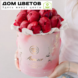 Букет в розовой шляпной коробке Amour Mini из 21 бордового пиона Standart Plus