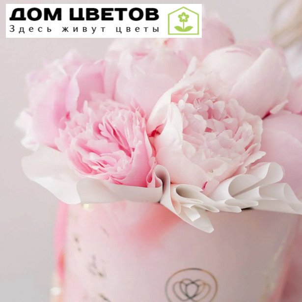 Букет в розовой шляпной коробке Amour Mini из 15 розовых пионов Premium