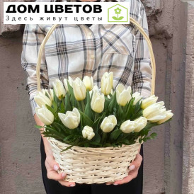 25 белых тюльпанов с фисташкой в корзине