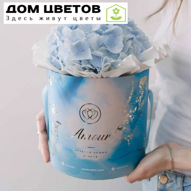 Букет в голубой шляпной коробке Amour Mini из 3 голубых гортензий