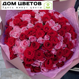 Букет из 101 красной и розовой розы 40 см (Россия)