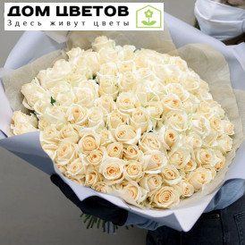 101 кремовая роза (Россия) 60 см Пич Аваланш