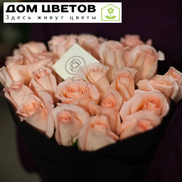 25 нежно-розовых роз (Эквадор) 70 см Engagement