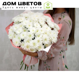 Букет из 15 белых кустовых хризантем Балтика в стильной упаковке