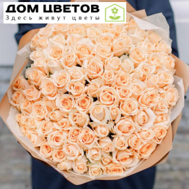 Букет из 101 кремовой розы Пич Аваланш 35-40 см (Россия)