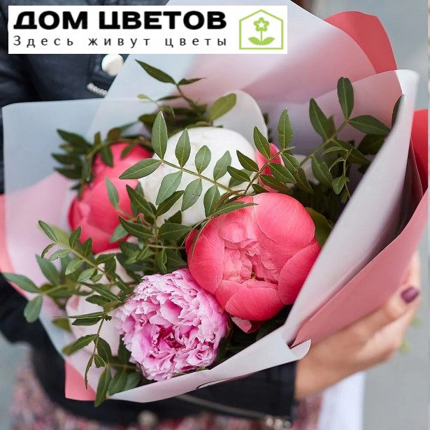 5 пионов микс Premium с фисташкой