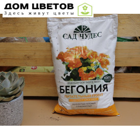 Бегония Сад Чудес 2,5л