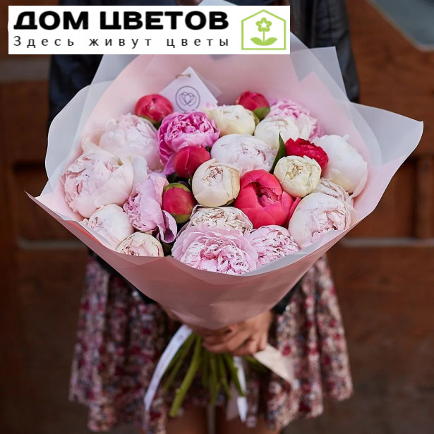 25 пионов микс Premium