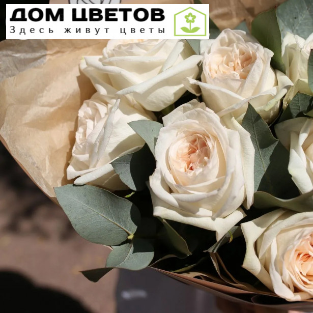 Букет из 9 белых одноголовых пионовидных роз White O'Hara 40 см с эвкалиптом