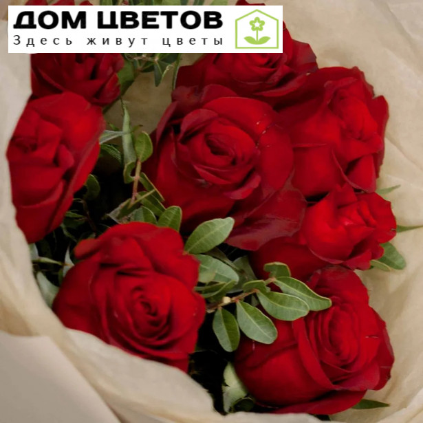 Букет из 9 красных роз Ever Red 40 см с фисташкой