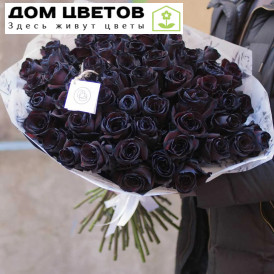 Букет из 51 черной розы 60 см (Эквадор)