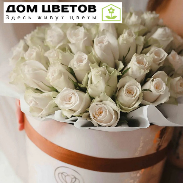 Букет в бежевой шляпной коробке Amour из 51 белой розы (Кения)