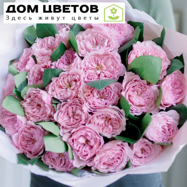 25 розовых пионовидных роз 40 см Mayra's Pink