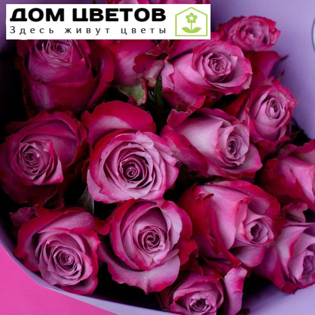 Букет из 15 сиреневых с фиолетовой каймой роз Purple Queen 40 см