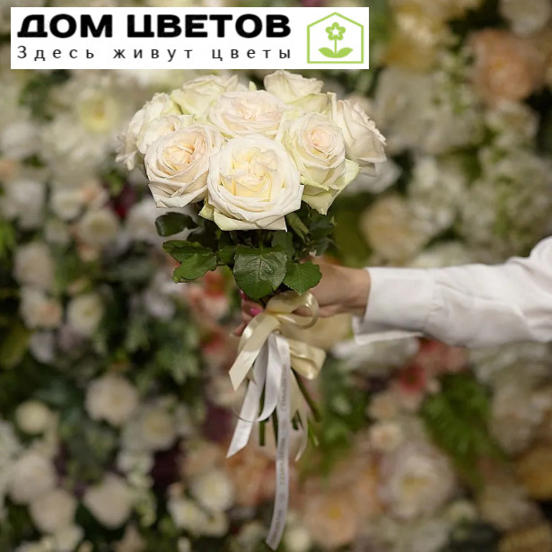 Букет из 9 белых одноголовых пионовидных роз 40 см White O'Hara